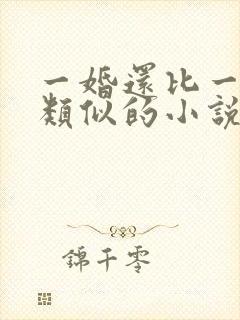 一婚还比一婚高类似的小说推荐