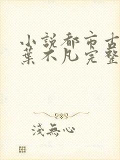 小说都市古仙医叶不凡完整版