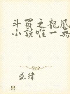 斗罗之龙凰传说小说唯一无双