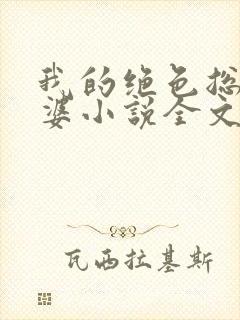 我的绝色总裁老婆小说全文免费阅读