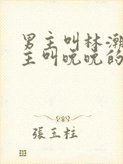 男主叫林潮生女主叫晚晚的小说