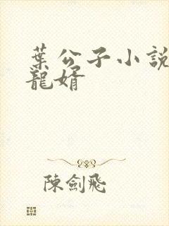 叶公子小说上门龙婿