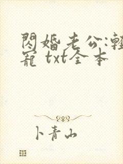闪婚老公:轻点宠 txt全本