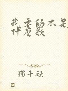 我要的不是你是什么歌