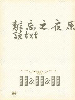 难忘之夜原著小说txt