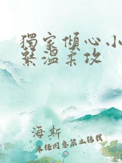 独家倾心小说爹系温柔攻