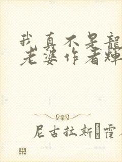 我真不是龙傲天老婆作者辉羽天