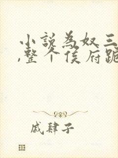 小说为奴三年后,整个侯府跪求我原谅