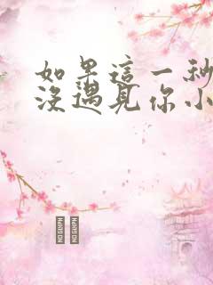 如果这一秒,我没遇见你小说