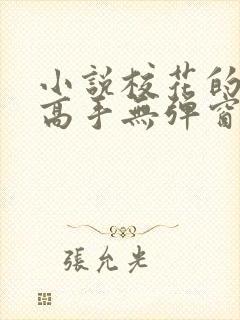 小说校花的贴身高手无弹窗全文免费阅读