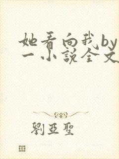 她看向我by徐一小说全文免费阅读