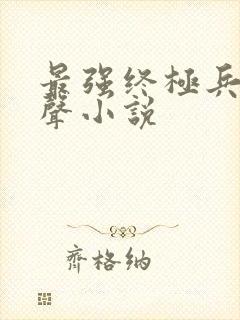 最强终极兵王有声小说