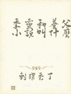 季灵和养父原著小说叫什么