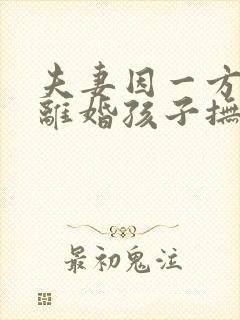 夫妻因一方出轨离婚孩子抚养权怎么判定