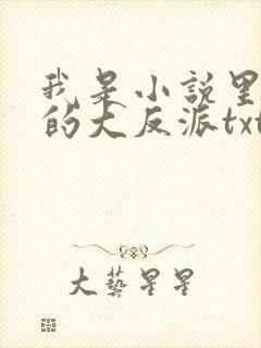 我是小说里共同的大反派txt免费下载