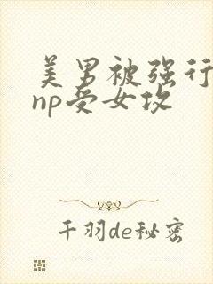 美男被强行糟蹋np受女攻