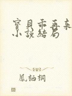 宝贝乖再来一次小说结局