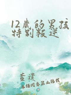 12岁的男孩子特别叛逆