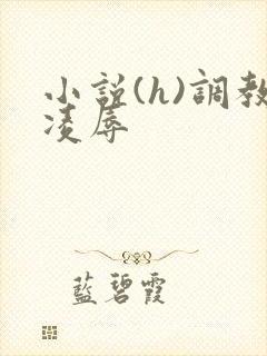 小说(h)调教凌辱