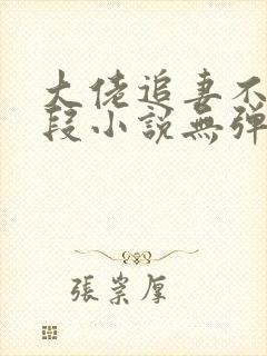 大佬追妻不择手段小说无弹窗最新章节