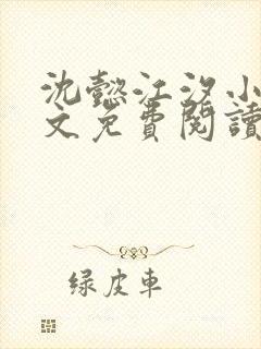 沈懿江汐小说全文免费阅读