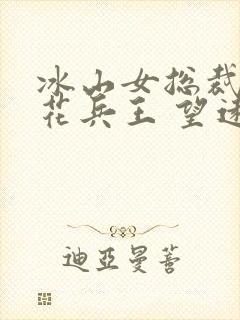 冰山女总裁的护花兵王 望远行