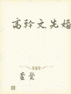 高干文先婚后爱