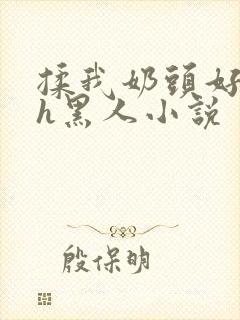 揉我奶头好爽嗯h黑人小说