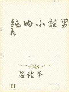 纯肉小说男男高h