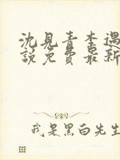 沈见青李遇泽小说免费最新章节阅读