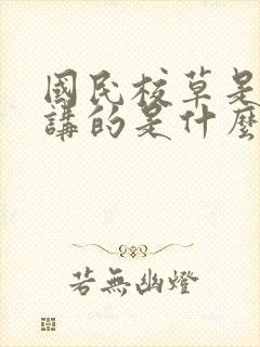 国民校草是女生讲的是什么