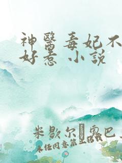 神医毒妃不好不好惹 小说