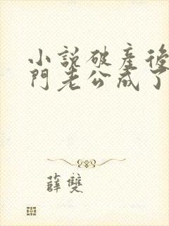 小说破产后,上门老公成了我的金主