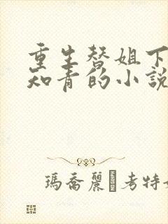 重生替姐下乡当知青的小说