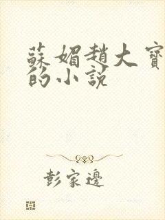 苏媚赵大宝赵勇的小说