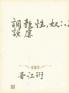 调教性,奴:小说虐