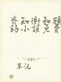 齐知衡和顾念念的小说免费阅读