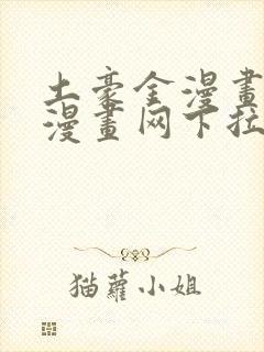 土豪金漫画免费漫画网下拉式