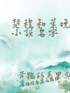 楚程和叶晚晚的小说名字