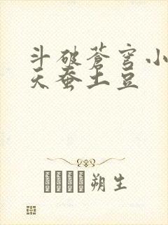斗破苍穹小说 天蚕土豆