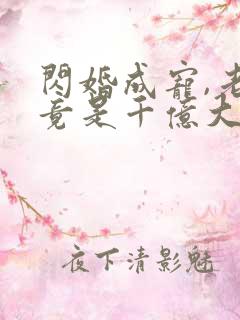 闪婚成宠,老公竟是千亿大佬i