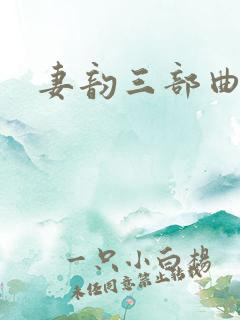 妻韵三部曲小说