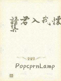 请君入我怀44集