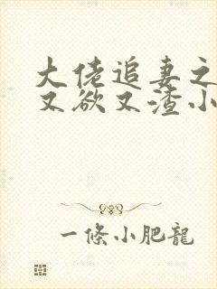 大佬追妻之夫人又欲又渣小说完整版