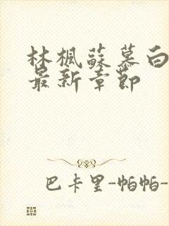 林枫苏慕白穿越最新章节