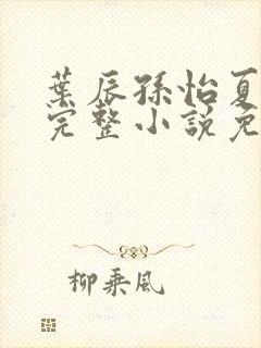 叶辰孙怡夏若雪完整小说免费