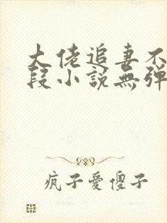 大佬追妻不择手段小说无弹窗最新章节