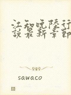 江知晚陆行珩小说最新章节免费阅读