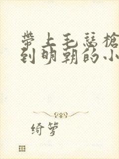 带上毛瑟枪穿越到明朝的小说