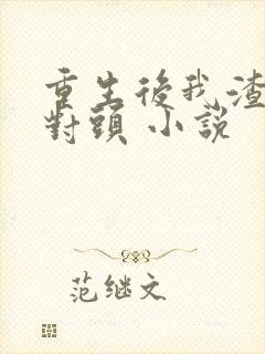 重生后我渣了死对头 小说